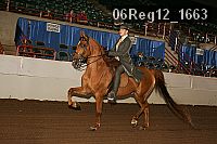 06reg12_1663 proof
