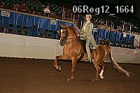 06reg12_1664 proof