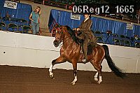 06reg12_1665 proof