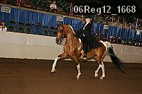 06reg12_1668 proof