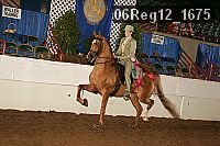 06reg12_1675 proof