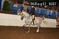 06reg12_1687 proof