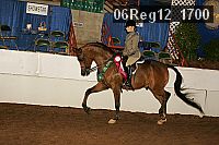 06reg12_1700 proof