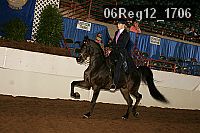 06reg12_1706 proof