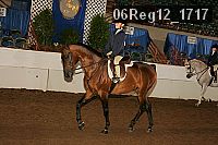 06reg12_1717 proof