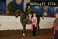 06reg12_1724 proof