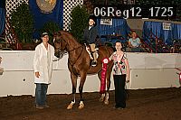 06reg12_1725 proof
