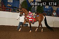 06reg12_1734 proof