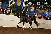 06reg12_1764 proof
