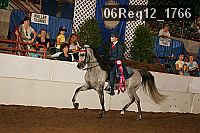 06reg12_1766 proof