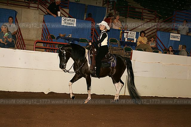 Proof 06reg12_1773