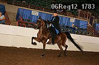 06reg12_1783 proof