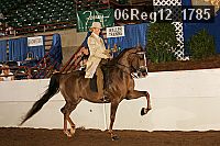 06reg12_1785 proof