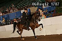 06reg12_1787 proof