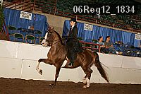 06reg12_1834 proof