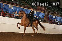 06reg12_1837 proof