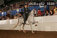 06reg12_1840 proof