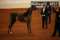 06reg12_1857 proof
