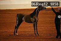 06reg12_1858 proof