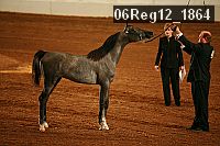 06reg12_1864 proof