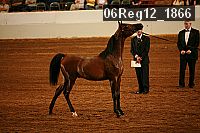06reg12_1866 proof