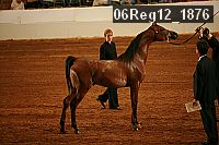 06reg12_1876 proof