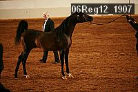 06reg12_1907 proof