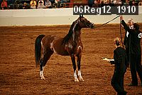 06reg12_1910 proof