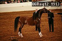 06reg12_1913 proof