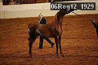 06reg12_1929 proof