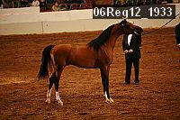 06reg12_1933 proof