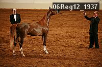 06reg12_1937 proof