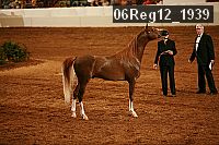 06reg12_1939 proof