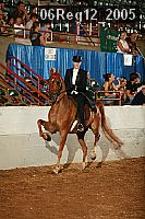 06reg12_2005 proof