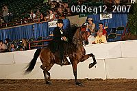 06reg12_2007 proof