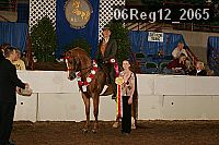 06reg12_2065 proof