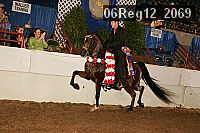 06reg12_2069 proof
