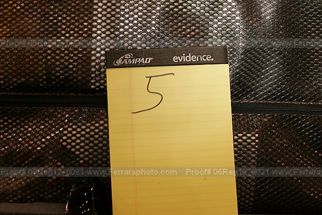 Proof 06reg12_0021
