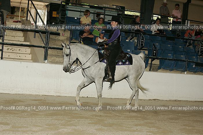 Proof 06reg14_0051