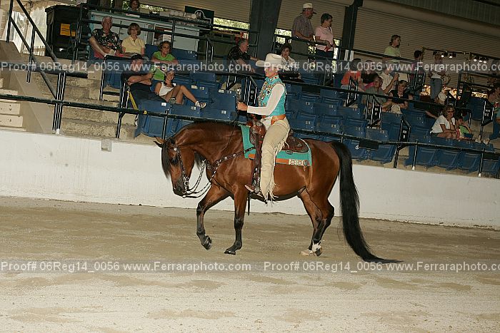 Proof 06reg14_0056