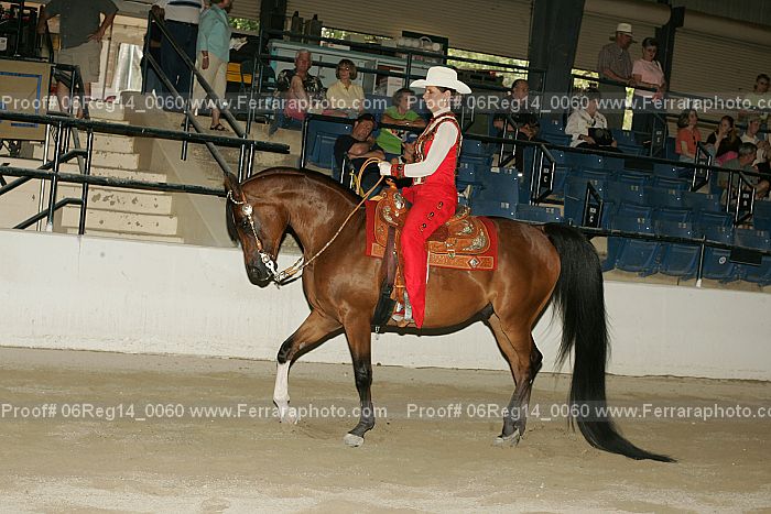 Proof 06reg14_0060