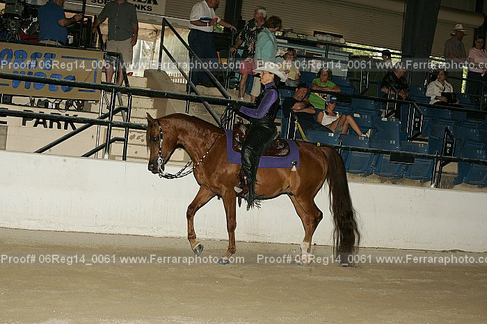 Proof 06reg14_0061