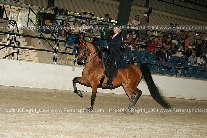 Proof 06reg14_0064