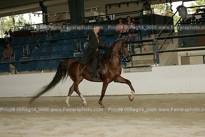 Proof 06reg14_0066