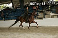 06reg14_0066 proof