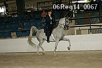 06reg14_0067 proof