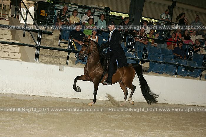 Proof 06reg14_0071