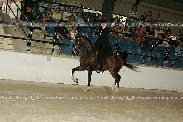Proof 06reg14_0074