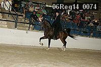 06reg14_0074 proof