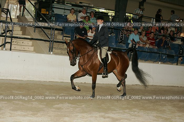 Proof 06reg14_0082
